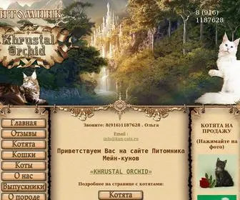 Kun-Cats.ru(Котята) Screenshot