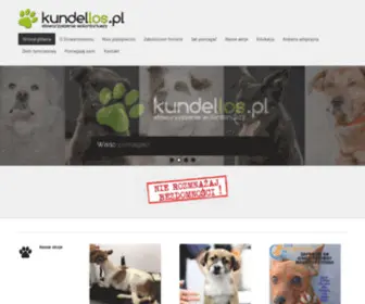 Kundellos.pl(Stowarzyszenie Wolontariuszy) Screenshot