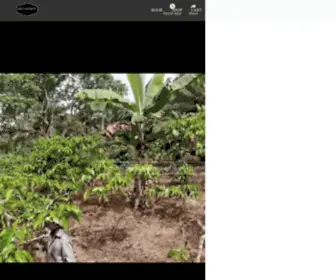 Kuntzcoffee.com(Freshly roasted Coffee) Screenshot