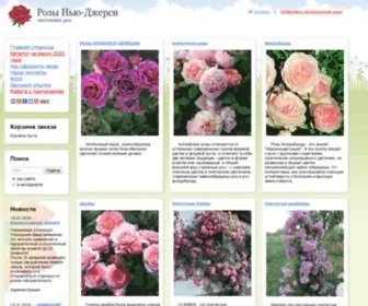 Kupirozi.ru(Купить розы) Screenshot