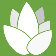 Kurkuma-Wirkung.de Logo