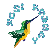 Kusikawsay.org Favicon