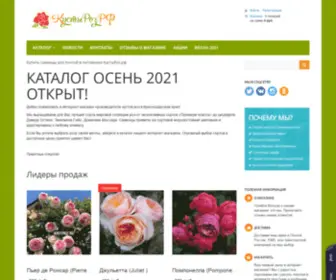 Kustyroz.ru(Интернет) Screenshot