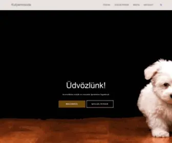 Kutyamosoda.hu(A tiszta négylábúakért) Screenshot