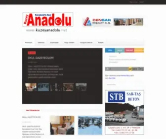 Kuzeyanadolu.net(Kuzey Anadolu Gazetesi) Screenshot