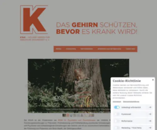 KVSG.de(Kölner Verein für seelische Gesundheit) Screenshot