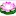 Kynangandlifeskills.com Favicon