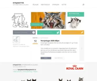KYnjakettir.is(Kattaræktarfélag Íslands) Screenshot