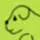 Kynologos.ch Favicon