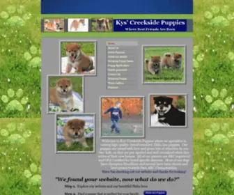 KYScreeksidepuppies.com(Shiba puppies Missouri California Florida Texas Kansas Oklahoma Arkansas) Screenshot