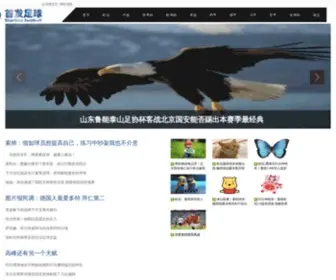 Kzuqiu.com Screenshot