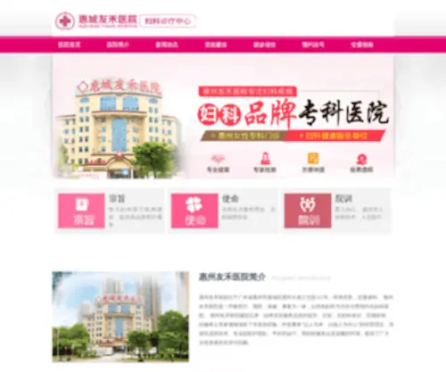 Labisse.com(惠州友禾妇科医院) Screenshot