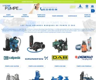 Labonnepompe.com(Pompe à eau de grandes marques) Screenshot