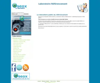 Laboratoire-Referencement.fr(Laboratoire Référencement) Screenshot