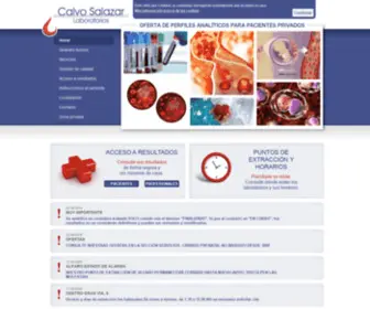 Laboratoriocalvosalazar.es(LABORATORIOS CALVO SALAZAR) Screenshot