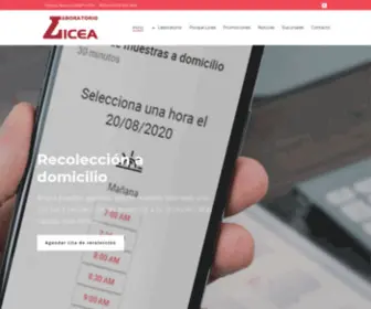 Laboratoriolicea.com(Laboratorio Licea) Screenshot