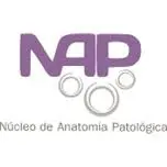 Laboratorionap.com.br Favicon