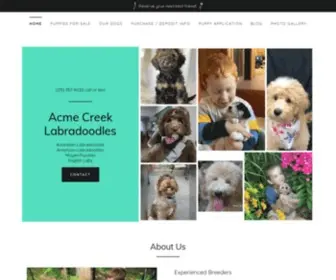 Labradoodlesmichigan.com(Labradoodle Puppies) Screenshot