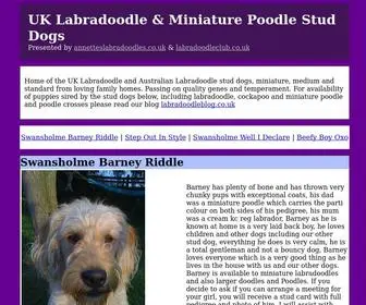 Labradoodlestuddogs.co.uk(UK Labradoodle & Miniature Poodle Stud Dogs) Screenshot