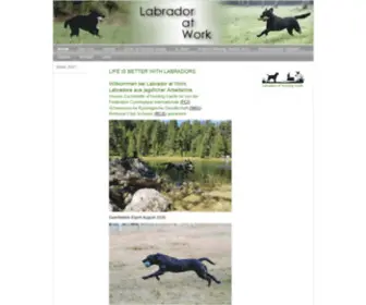 Labradoratwork.ch(Labradoratworks Webseite) Screenshot