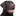 Labradorforum.nl Favicon