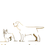 Labradorgolden.gr Favicon