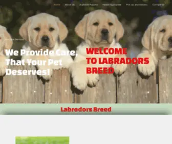 Labradorsbreed.com(Labradors puppies for sale) Screenshot