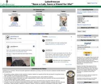 Labs4Rescue.com(Labrador) Screenshot