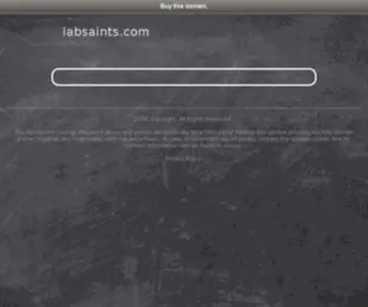 Labsaints.com(Labsaints) Screenshot