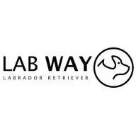 Labway.es Logo