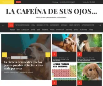 Lacafeinadesusojos.com(La cafe) Screenshot