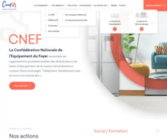 Lacnef.fr(La CNEF) Screenshot