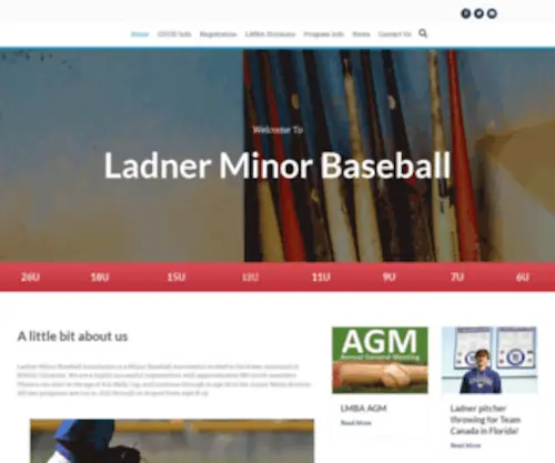 Ladnerminorbaseball.com(Ladner Minor Baseball Association) Screenshot