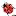 Ladybird.nl Favicon