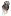 Ladybossbox.com Favicon