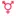 Ladyboy.fans Favicon