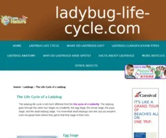 Ladybug-Life-CYcle.com(Articles About the Ladybug Life Cycle) Screenshot