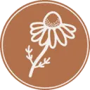 Ladyoftheherbs.co.za Favicon