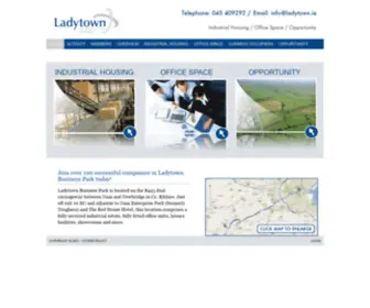 Ladytown.ie(Ladytown Business Park Ltd) Screenshot