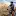 Laelwilcox.com Favicon