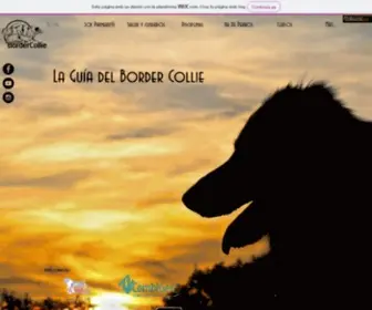 Laguiadelbordercollie.com(La Guia Del Border Collie) Screenshot