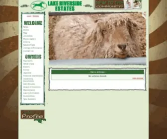 Lakeriversideestates.net(We've got some trouble) Screenshot