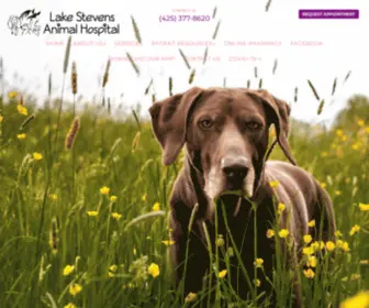 Lakestevensanimalhospital.com(Lake Stevens Animal Hospital) Screenshot