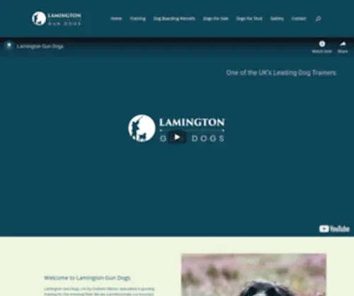 Lamingtongundogs.co.uk(Lamington Gun Dogs) Screenshot