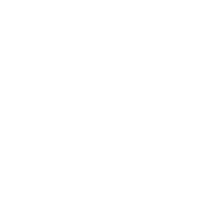 Lampazoo.cl Favicon