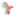 Land-IN-Sicht.de Favicon