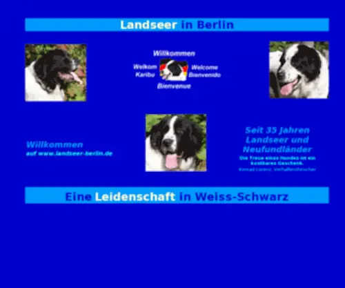 Landseer-Berlin.de(Landseer Berlin) Screenshot