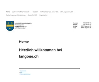 Langone.ch(LANGONE Dienstleistungen) Screenshot