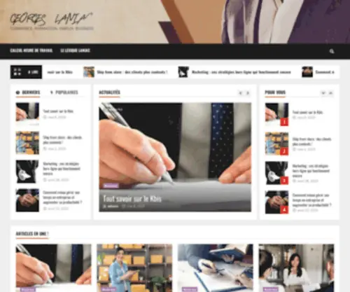 Laniac.org(Emploi, formation, commerce, entreprise) Screenshot