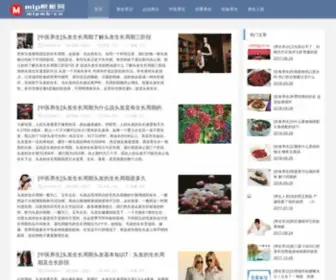 Lanzhouyangsheng.com(兰州养生网) Screenshot